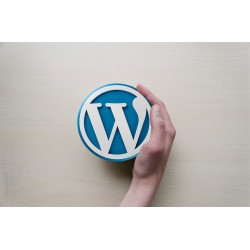 CREIAMO IL TUO SITO ECOMMERCE PROFESSIONALE IN WORDPRESS